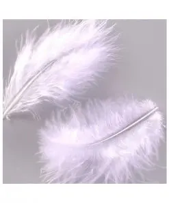 plume blanche