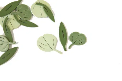 Confettis de table Eucalyptus